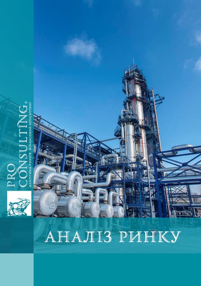 Аналіз ринку нафталіну та інден-кумаронових фракцій України. 2013 рік